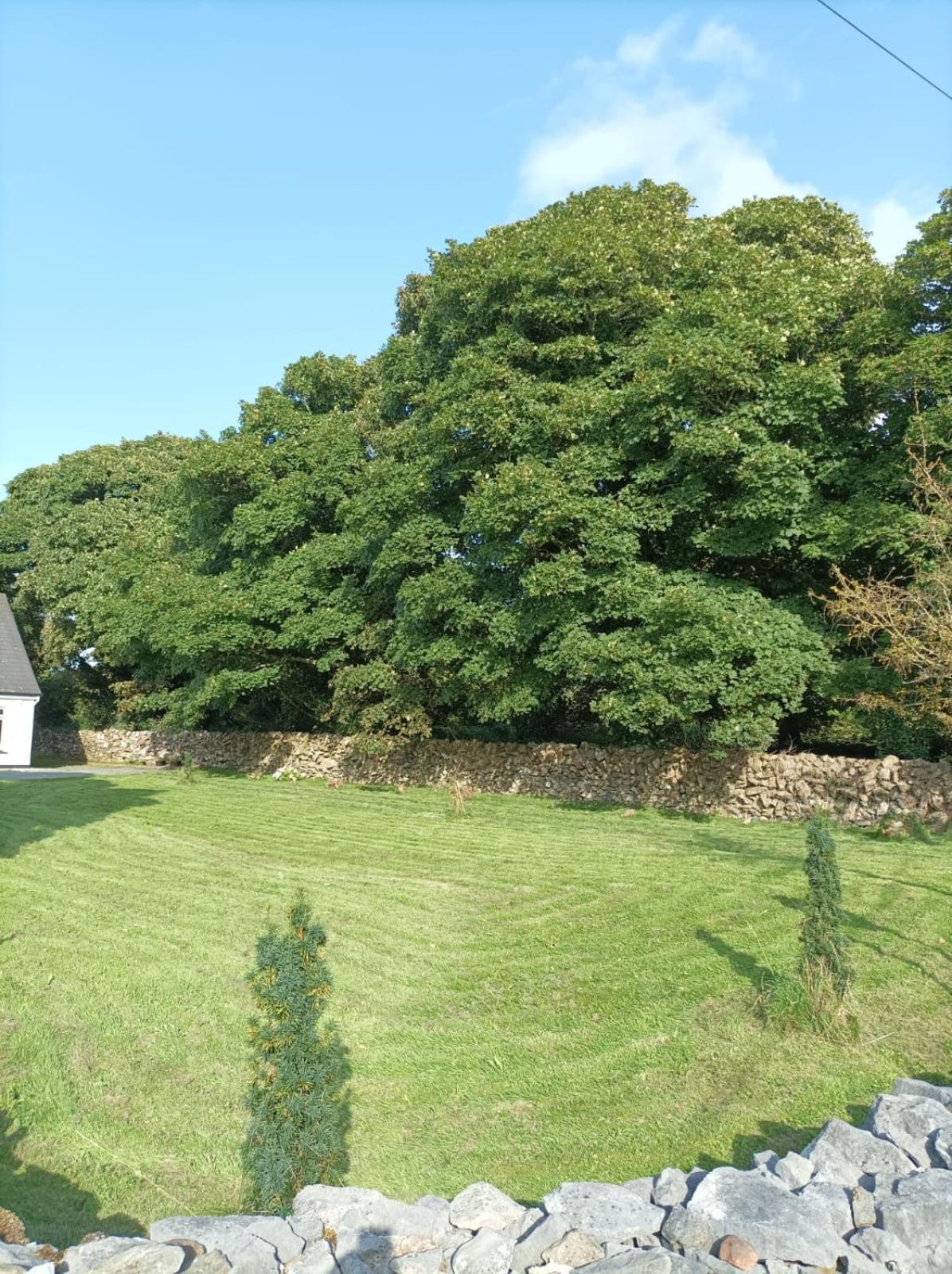 Mountain View Guesthouse Oughterard Luaran gambar