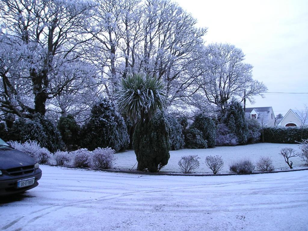 Mountain View Guesthouse Oughterard Luaran gambar